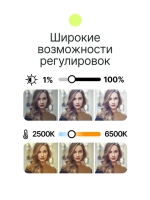 Осветитель светодиодный Raylab RL-LED08BI-2 2500-6500K 3100mAh