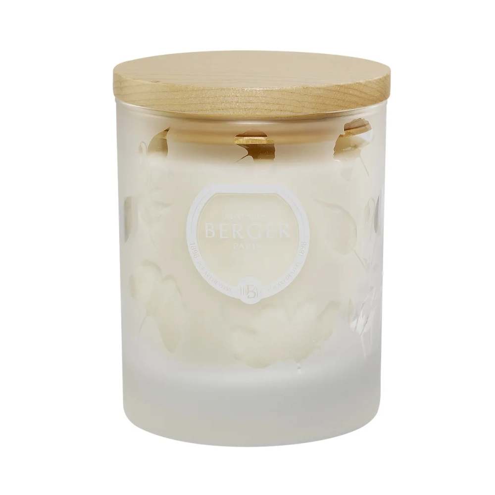 Maison Berger Paris Ароматическая свеча Aroma Relax 180 грамм 6360
