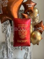 Воздушные шары с доставкой «Ну всё, ты взрослый!» , с фото, паспортом, и крутым котом