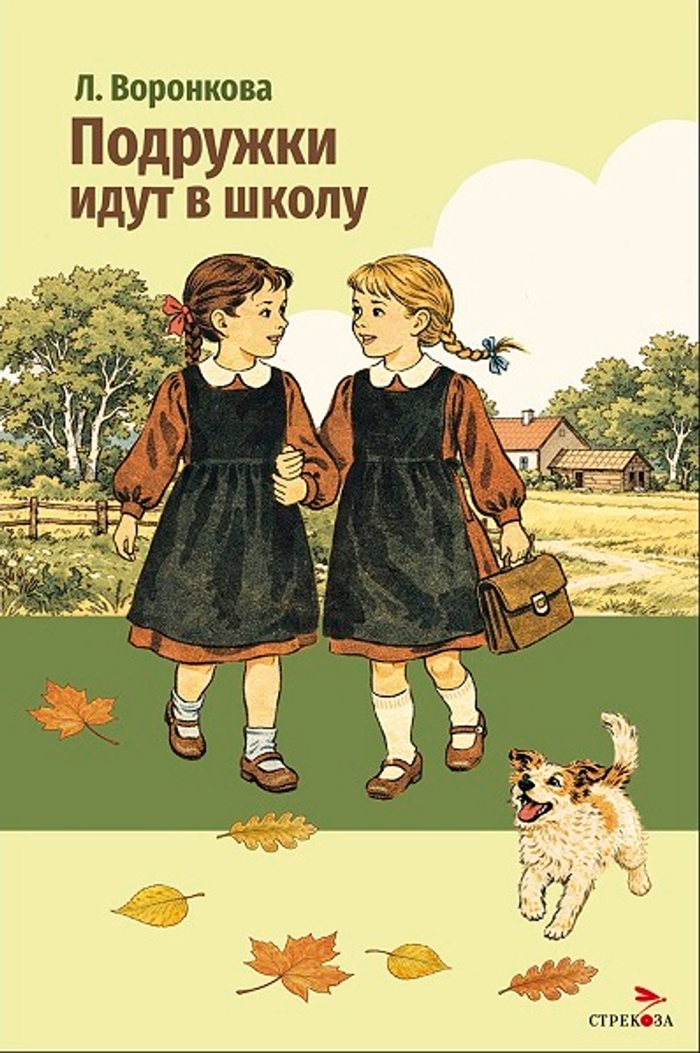 Внеклассное чтение