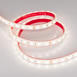 Светодиодная лента герметичная RTW-PFS-B60-13mm 24V Day4000 (14.4 W/m, IP68, 5060, 5m) (Arlight, 14.4 Вт/м, IP68) 034034