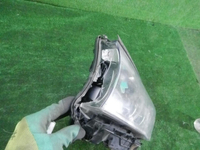 DSCN8442.JPG