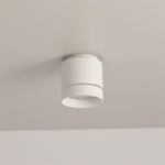 Citilux Борн CL745020N LED Светильник накладной Белый