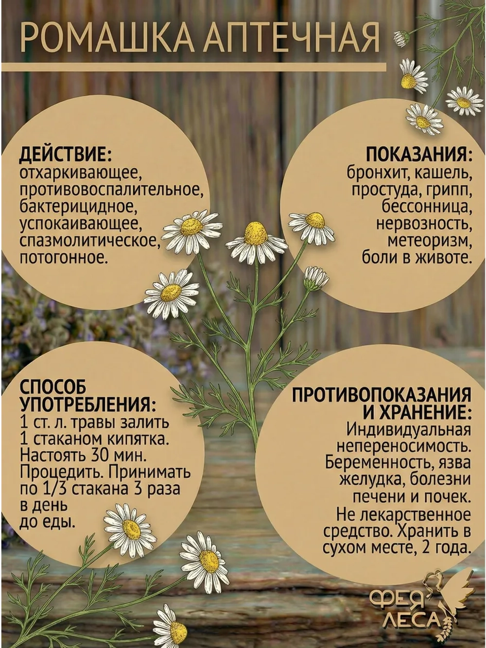 Ромашка аптечная здоровья, творчества и солнечной магии
