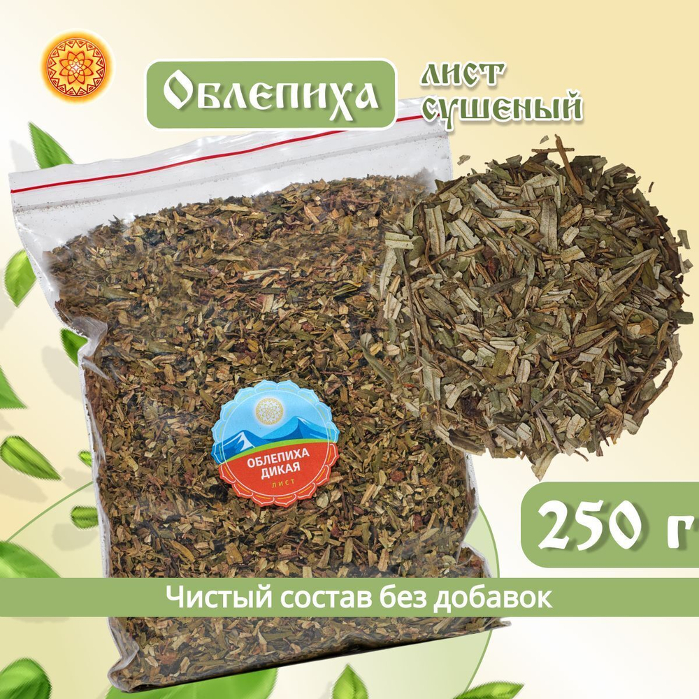 Лист облепихи