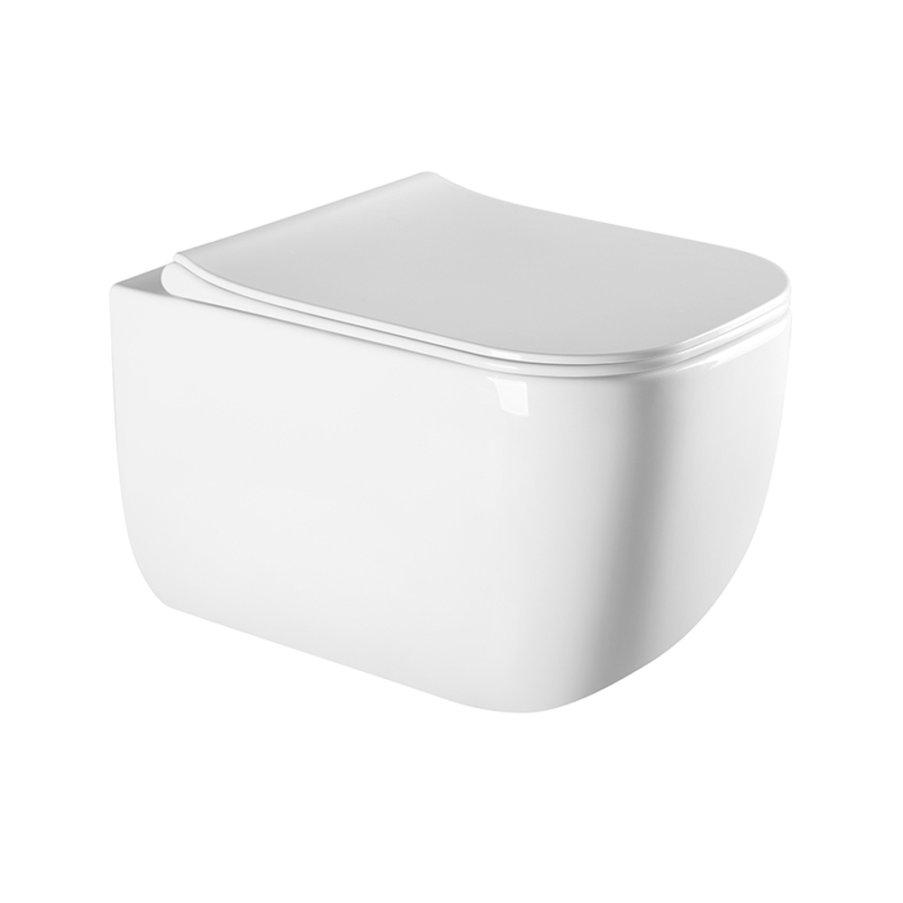 PINTO RIMLESSБезободковый подвесной унитаз EWC700-126W