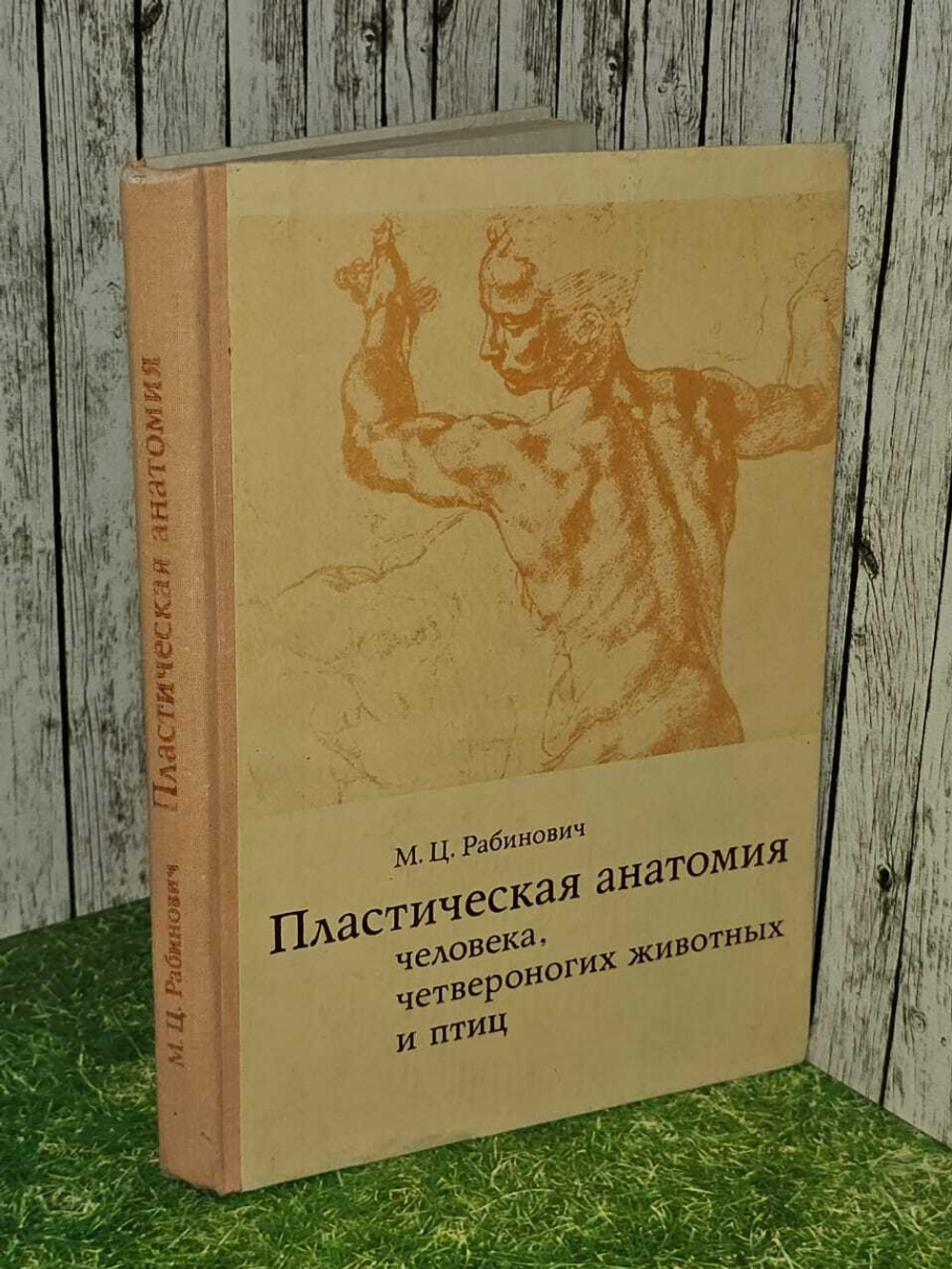 Рабинович М. Ц. Пластическая анатомия человека, четвероногих животных и птиц и ее применение в рисунке.