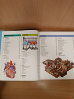 Knowledge Encyclopedia: The World as You've Never Seen it Before (DK Knowledge Encyclopedias) Hardcover