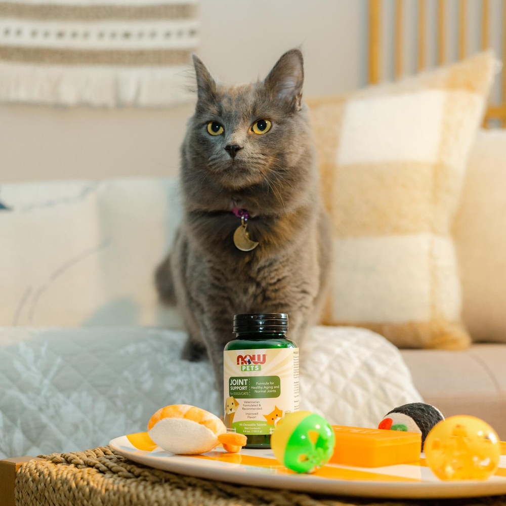 NOW Foods, Pets, поддержка суставов для собак и кошек, 90 жевательных таблеток, 126 г (4,44 унции)