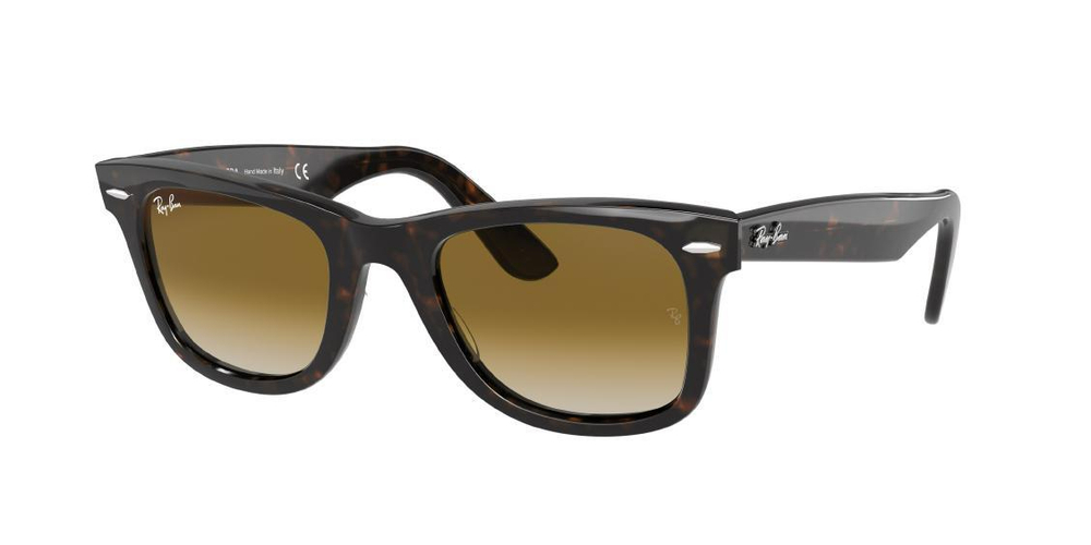 RAY-BAN RB2204 902/51