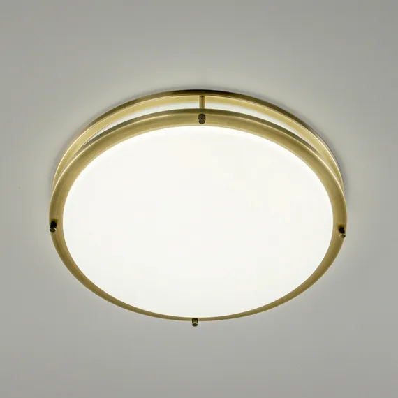 Настенно-потолочный светильник Бостон CL709503N Citilux