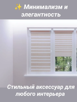 Рулонные шторы День-Ночь 55х140 см