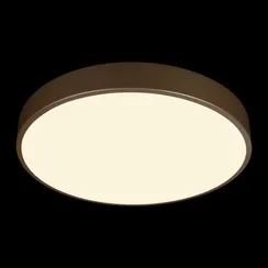 Потолочный светильник Flims 10228/A Loft It
