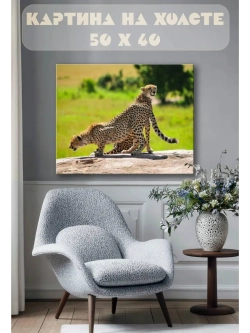 Картина на стену 40 X 50 Гепарды