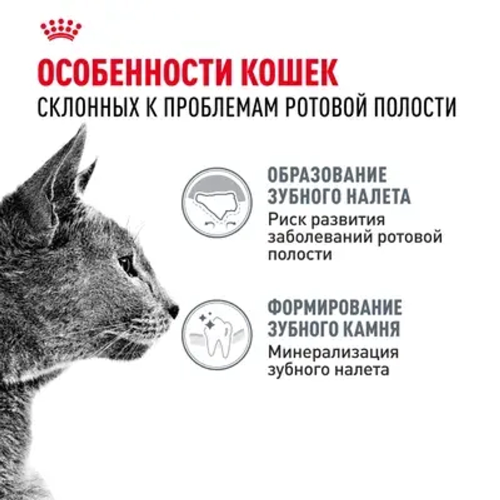 ROYAL CANIN (Роял Канин) Dental Care Корм сухой для взрослых кошек для профилактики образования зубного налета и зубного камня, 400 г