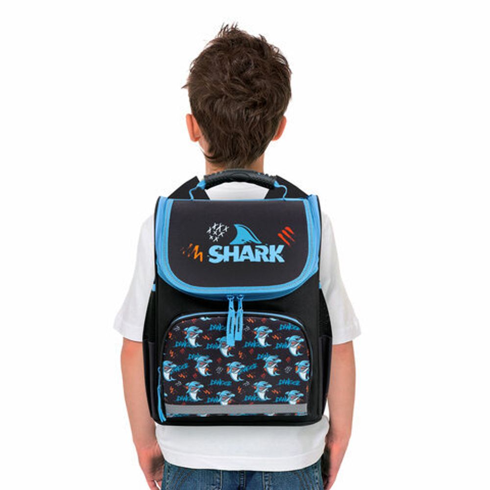 Ранец ПИФАГОР BASIC, 1 отделение, 3 кармана, эргономичная спинка, "Angry shark", 35х28х18 см, 272044