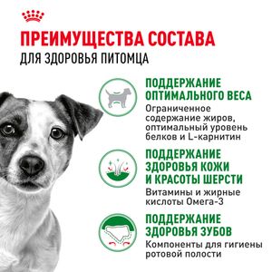 Сухой корм Royal Canin Mini Adult для взрослых собак мелких размеров от 10 месяцев