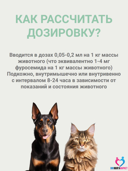 Фуросенит-вет раствор для инъекций от отечного синдрома различной этиологии у животных,20 мл ( Nita-Farm) Фуросемид