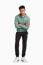 Кофта Puma Essentials No. 1 Logo - бирюзовый