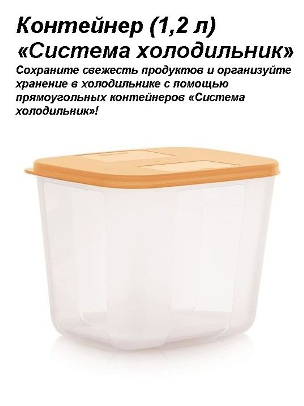 Контейнер Система холодильник с золотистой крышкой 2,6л