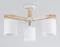 Потолочная люстра Traditional TR83112 Ambrella