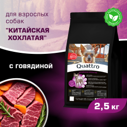 Корм сухой для взрослых собак породы Китайская хохлатая, с говядиной, 2,5 кг, QUATTRO