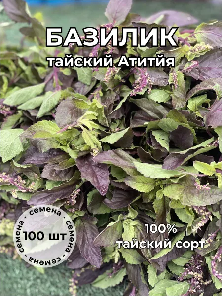 Базилик красный Атитйя — семена, 100 шт.