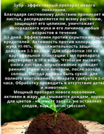Препарат от насекомых-вредителей Зубр, 1 мл