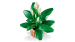 Конструктор LEGO Botanical Collection 11504 Peace Lily