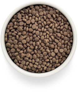 Grandorf DERMATOSIS, Gluten & Grain Free, Veterinary Diet (Salmon & Ocean Fish)