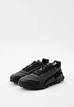Кроссовки мужские ECCO BIOM 2.1 X MOUNTAIN M