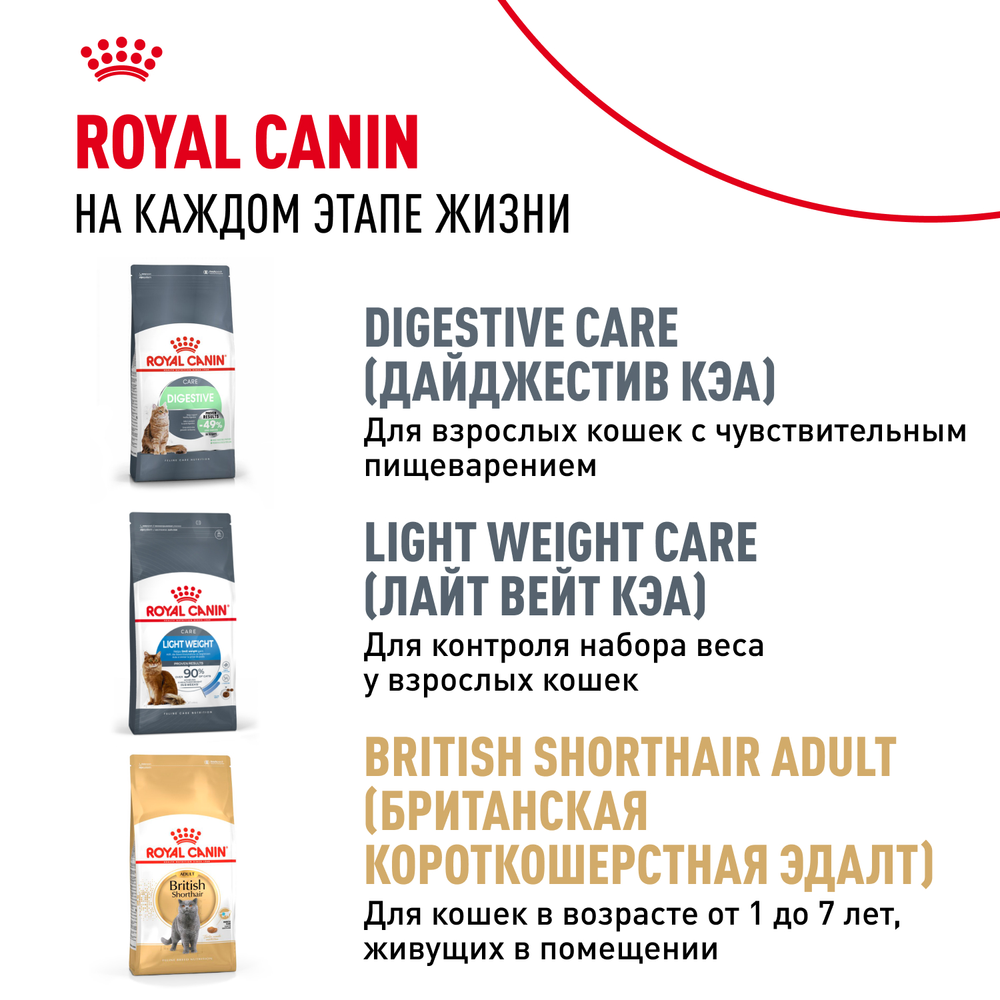 Royal Canin British Shorthair Kitten Киттен Британская короткошерстная Корм сухой сбалансированный для британских котят 2кг