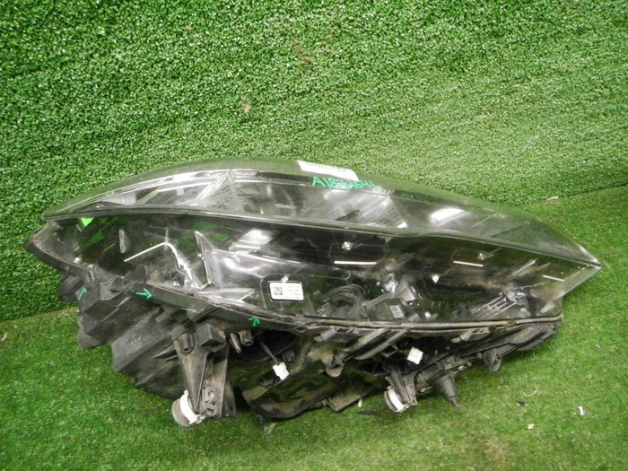 DSCN0803.JPG