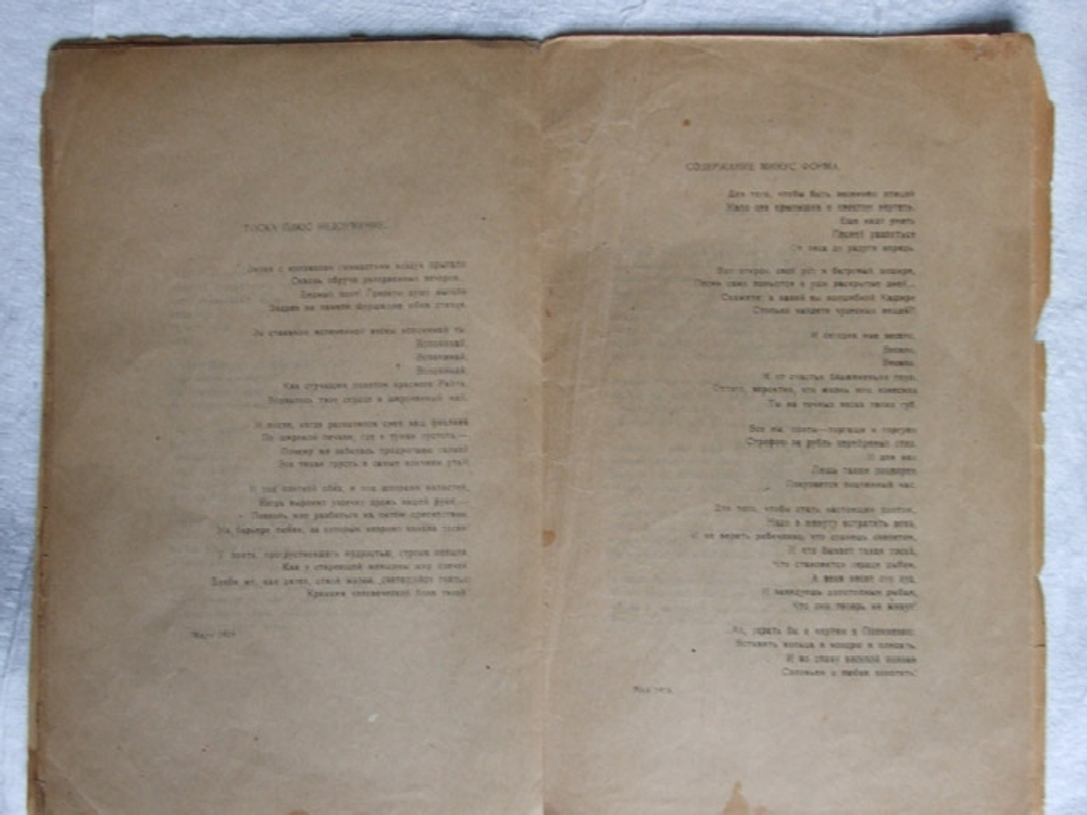 "Лошадь как лошадь". Сборник стихов имажиниста В.Шершеневича. 1920г.