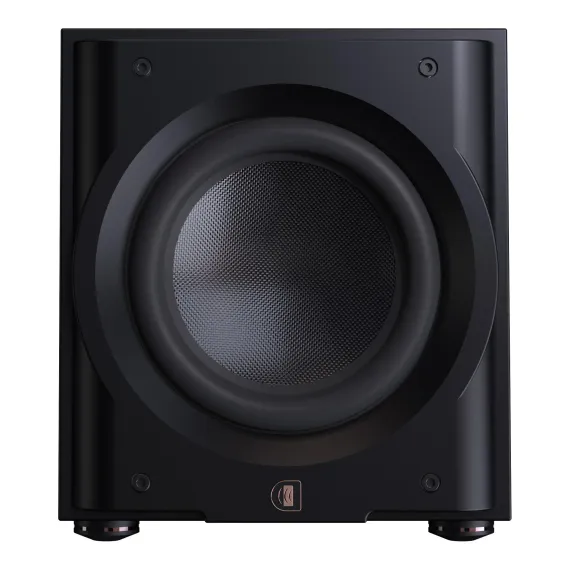 Perlisten Audio R10s Matte Black