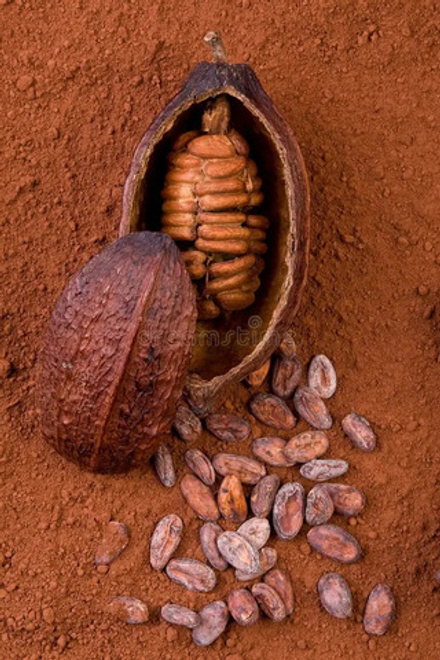 COCOA ABS 30% ALC / КАКАО абсолют CAS 84649-99-0