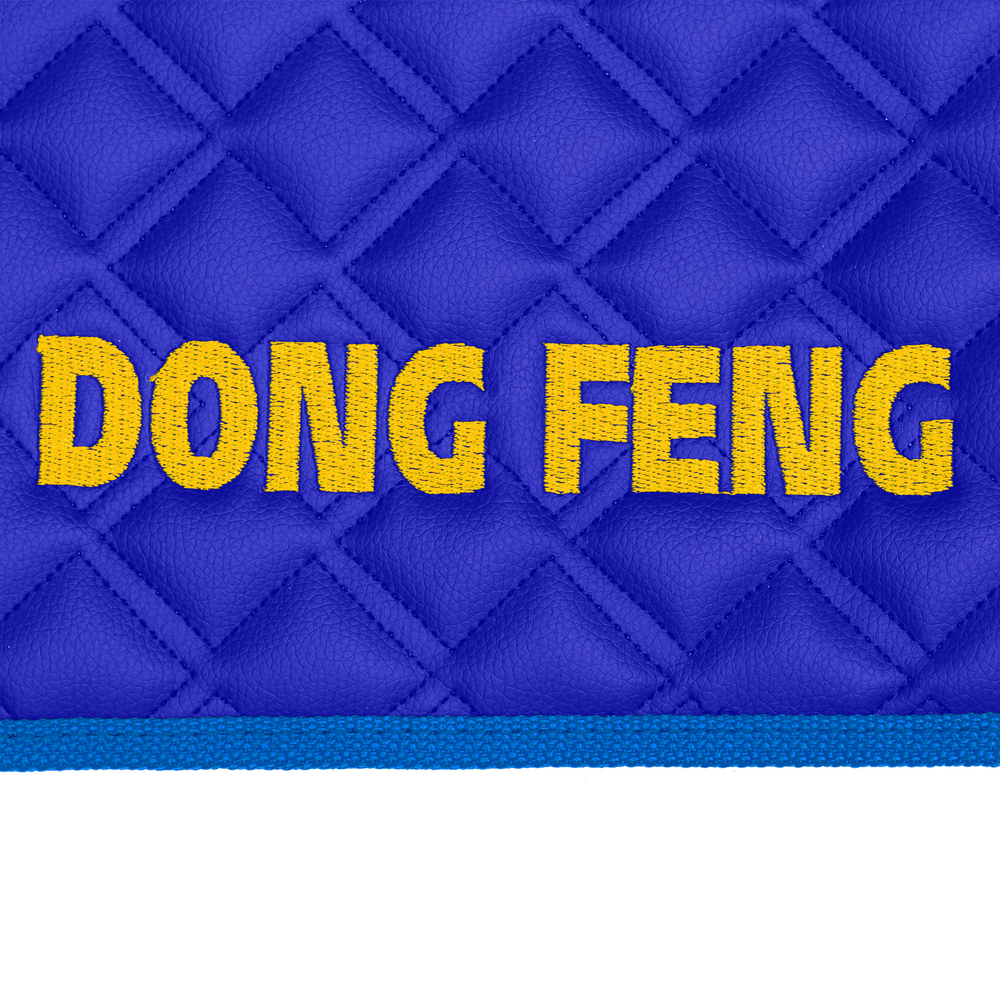 Ковры DongFeng GX, (экокожа, синий, синий кант, желтая вышивка)