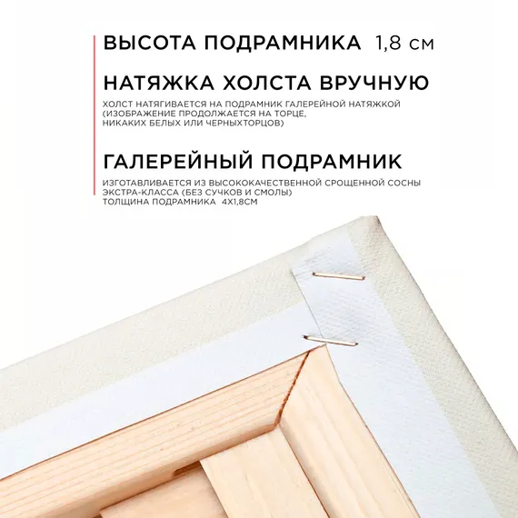 Постер "Ромашки"