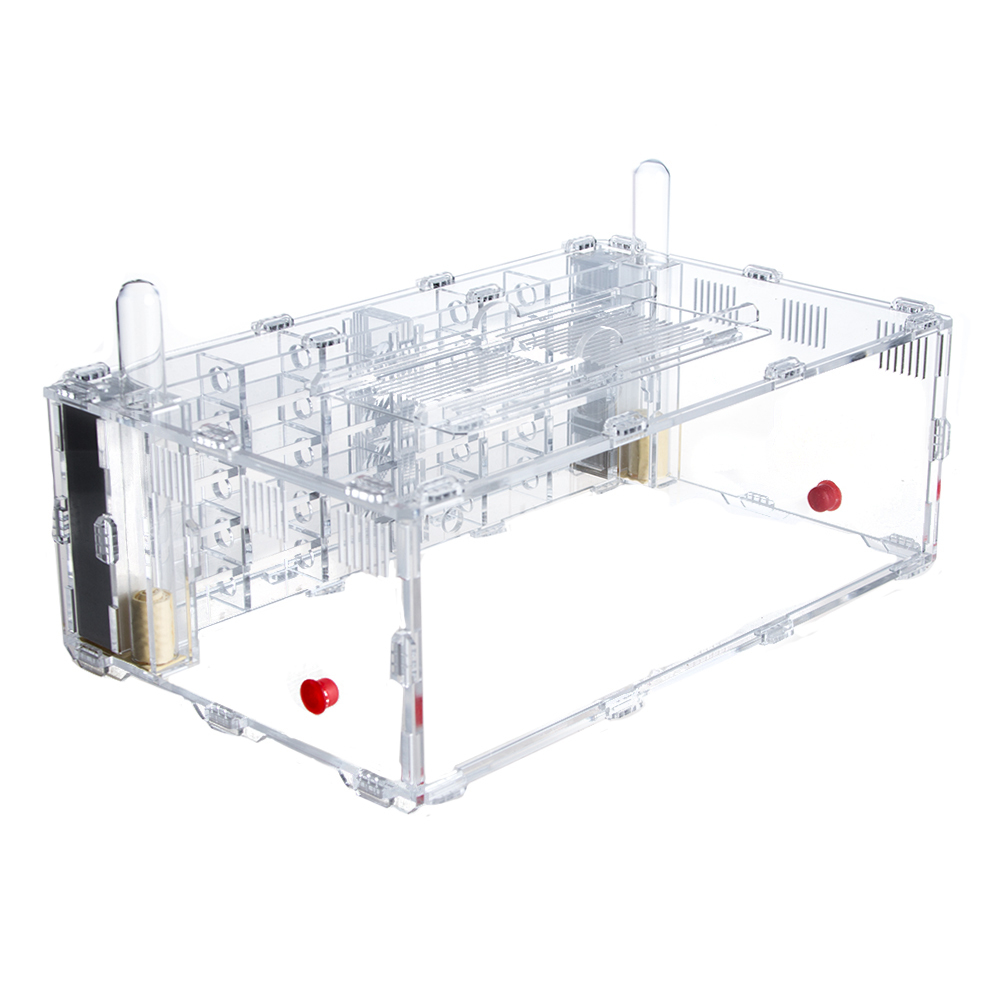 Crystal XL 3.0