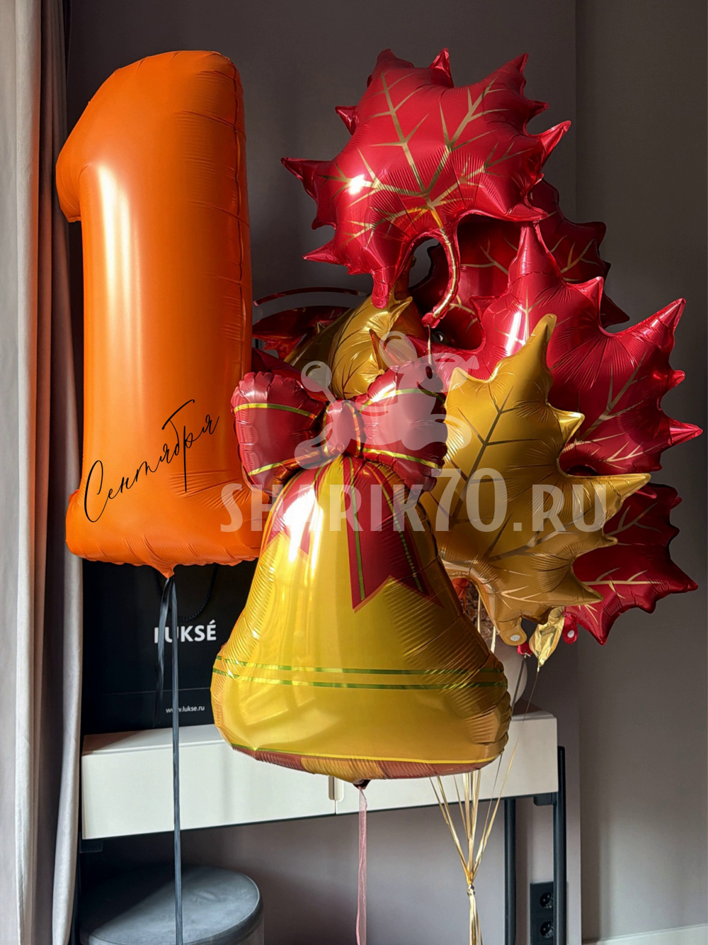 Сет ДЕНЬ ЗНАНИЙ 0019