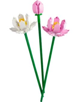 Конструктор LEGO Botanical Collection 40647 Цветы лотоса