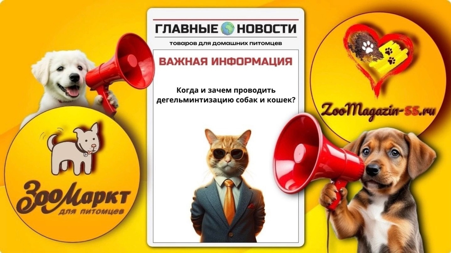 Дегельминтизация кошек и собак