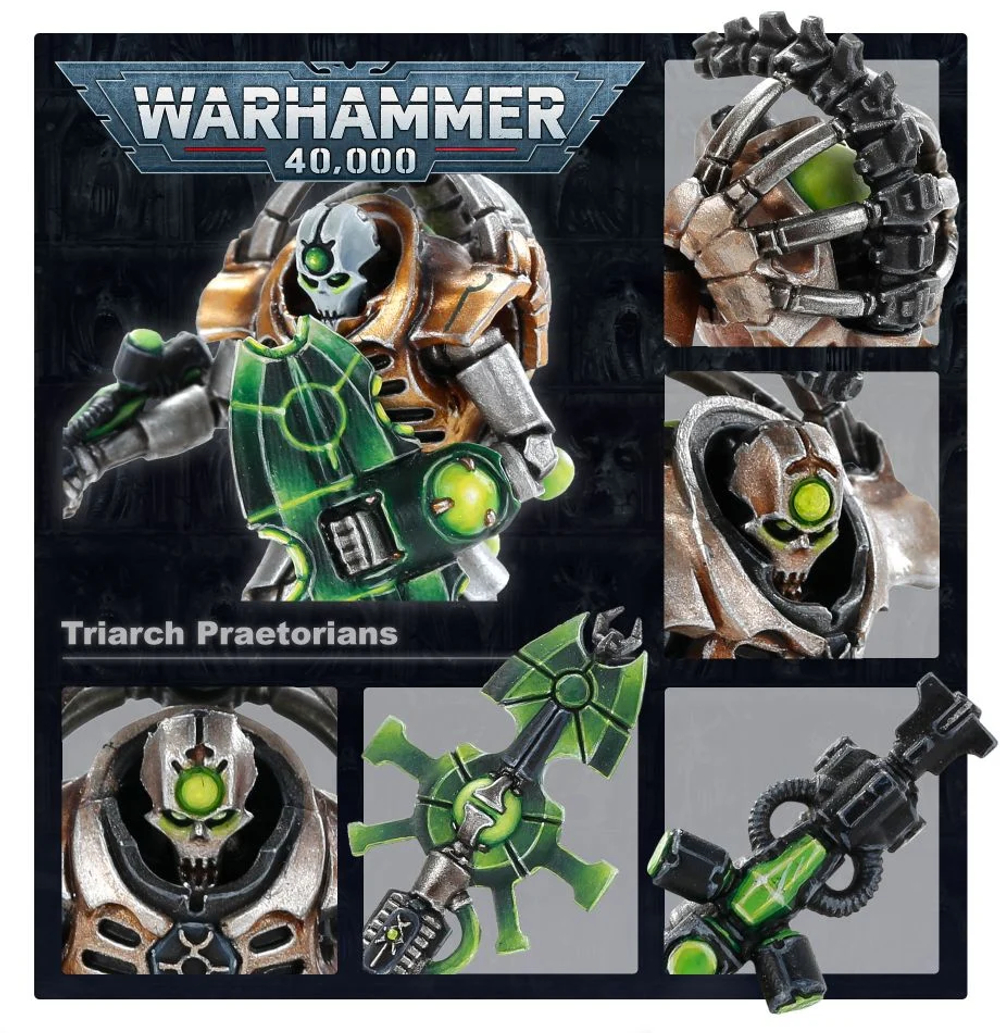 Necron Triarch Praetorians/Lychguard