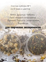 Набор Травы и сухоцветы для творчества №1