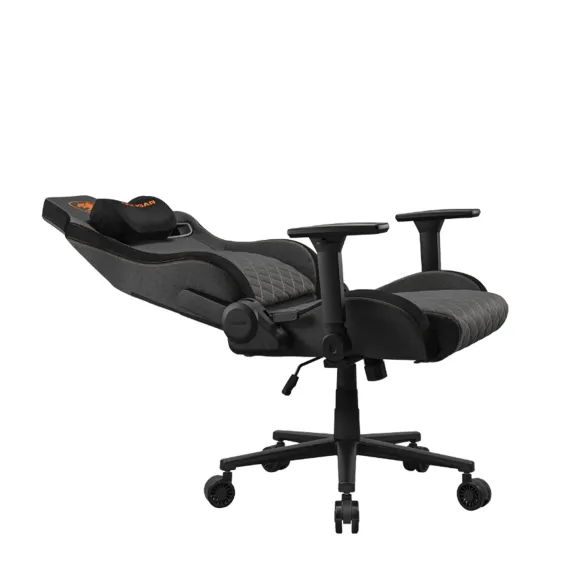 Cougar Defensor Gray F