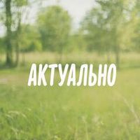 Встречаем лето:
