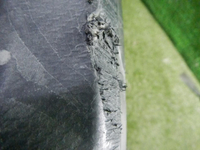 DSCN4109.jpg
