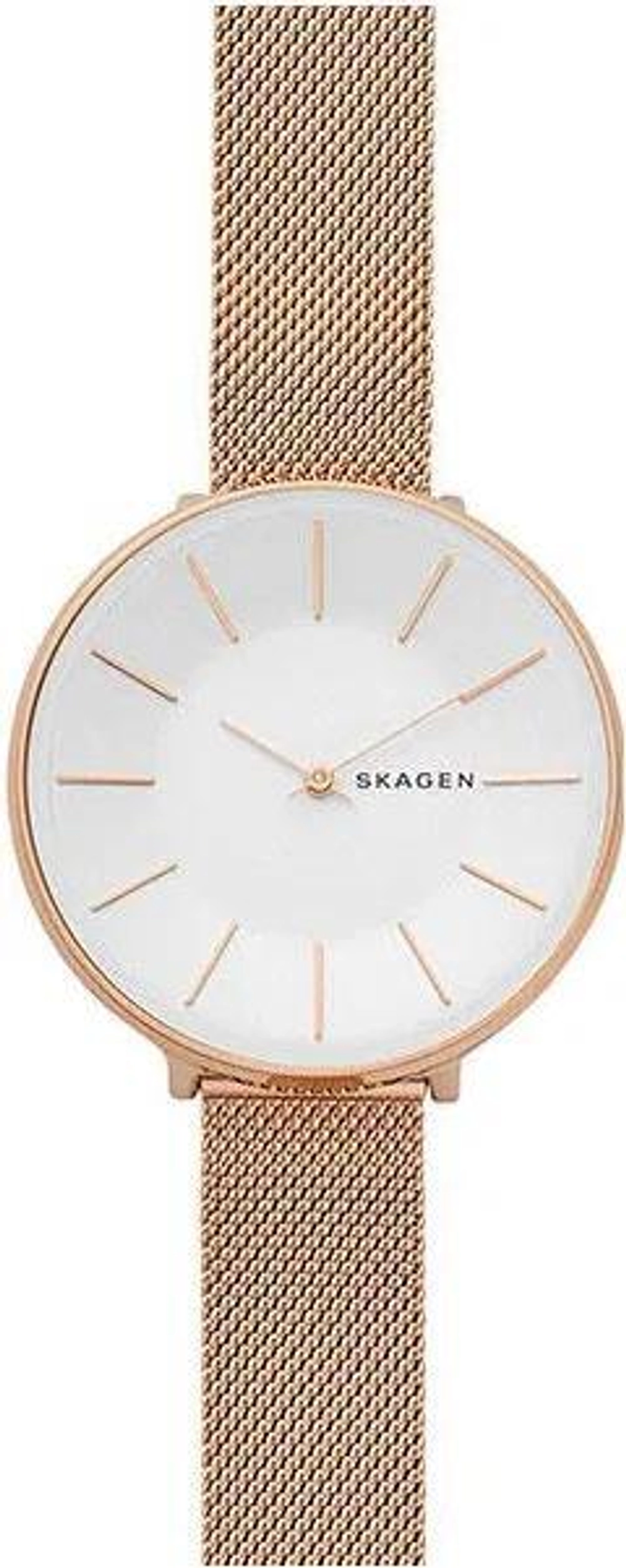 Женские наручные часы Skagen SKW2688
