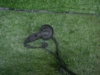 DSCN2497.JPG