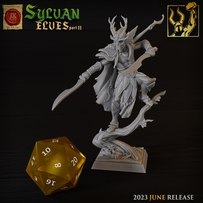 Elven Chief/Leader